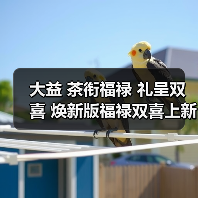 大益 茶衔福禄 礼呈双喜 焕新版福禄双喜上新！（图4）