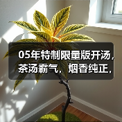 05年特制限量版开汤，茶汤霸气，烟香纯正，典型勐海布朗韵（图2）