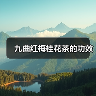九曲红梅桂花茶的功效（图1）