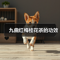 九曲红梅桂花茶的功效（图4）
