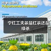 宁红工夫茶是红茶还是绿茶(图1) 宁红工夫茶是红茶还是绿茶(图1)