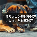 很多人以为茶越贵越好，其实，茶越真越好（图2）