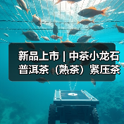 新品上市 | 中茶小龙石 普洱茶（熟茶）紧压茶（图1）