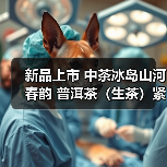 新品上市 中茶冰岛山河春韵 普洱茶(生茶)紧压茶(图4) 新品上市 中茶冰岛山河春韵 普洱茶(生茶)紧压茶(图4)