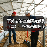 下关沱茶健康研究系列(二)一杯熟茶如何调节代谢?解锁降血脂稳血糖的科学逻辑(图3) 下关沱茶健康研究系列(二)一杯熟茶如何调节代谢?解锁降血脂稳血糖的科学逻辑(图3)