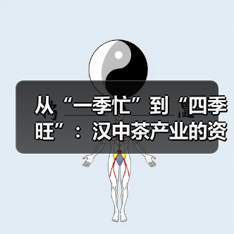 从“一季忙”到“四季旺”：汉中茶产业的资源变革与价值跃升（图3）