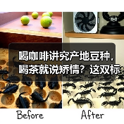 喝咖啡讲究产地豆种，喝茶就说矫情？这双标真看不下去！（图3）