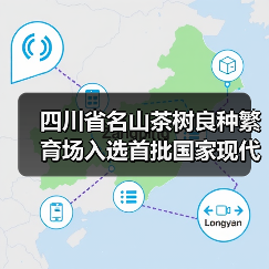 四川省名山茶树良种繁育场入选首批国家现代农业科技试验示范基地设立名单(图4) 四川省名山茶树良种繁育场入选首批国家现代农业科技试验示范基地设立名单(图4)
