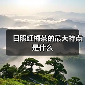 日照红梅茶的最大特点是什么(图1) 日照红梅茶的最大特点是什么(图1)