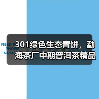 301绿色生态青饼,勐海茶厂中期普洱茶精品,被誉为“小白菜”(图2) 301绿色生态青饼,勐海茶厂中期普洱茶精品,被誉为“小白菜”(图2)