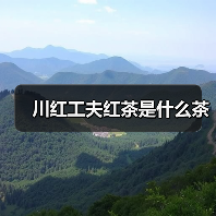 川红工夫红茶是什么茶(图4) 川红工夫红茶是什么茶(图4)