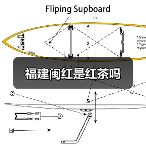 福建闽红是红茶吗（图4）