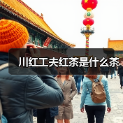 川红工夫红茶是什么茶(图3) 川红工夫红茶是什么茶(图3)