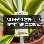 301绿色生态青饼,勐海茶厂中期普洱茶精品,被誉为“小白菜”(图3) 301绿色生态青饼,勐海茶厂中期普洱茶精品,被誉为“小白菜”(图3)