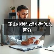 正山小种与烟小种怎么区分(图1) 正山小种与烟小种怎么区分(图1)