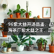 96紫大益开汤品鉴,勐海茶厂紫大益之王,品质优异,长期看好!(图3) 96紫大益开汤品鉴,勐海茶厂紫大益之王,品质优异,长期看好!(图3)