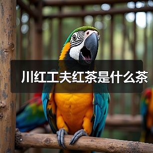 川红工夫红茶是什么茶(图1) 川红工夫红茶是什么茶(图1)