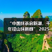 “中国抹茶启新潮，千年径山抹新颜” 2025抹茶大会在浙江余杭盛大开幕（图4）