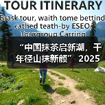 “中国抹茶启新潮，千年径山抹新颜” 2025抹茶大会在浙江余杭盛大开幕（图2）