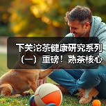下关沱茶健康研究系列（一）重磅！熟茶核心健康机制获国际顶刊权威揭示（图1）