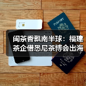 闽茶香飘南半球:福建茶企借悉尼茶博会出海拓展国际市场(图2) 闽茶香飘南半球:福建茶企借悉尼茶博会出海拓展国际市场(图2)