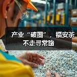 产业“破圈”，福安茶不走寻常路（图4）