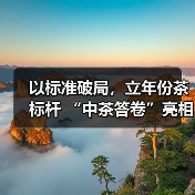 以标准破局，立年份茶标杆 “中茶答卷”亮相广州茶文化节（图2）