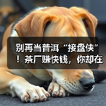 别再当普洱“接盘侠”!茶厂赚快钱,你却在家赌仓味?(图1) 别再当普洱“接盘侠”!茶厂赚快钱,你却在家赌仓味?(图1)