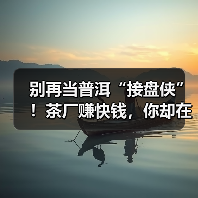 别再当普洱“接盘侠”!茶厂赚快钱,你却在家赌仓味?(图4) 别再当普洱“接盘侠”!茶厂赚快钱,你却在家赌仓味?(图4)