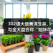 302银大益普洱生茶,与金大益合称“姐妹花”,值得长期持有(图1) 302银大益普洱生茶,与金大益合称“姐妹花”,值得长期持有(图1)