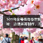 501乌金号传奇身世揭秘:边境茶菁制作,与传统云南大叶种不同(图1) 501乌金号传奇身世揭秘:边境茶菁制作,与传统云南大叶种不同(图1)