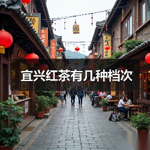 宜兴红茶有几种档次(图2) 宜兴红茶有几种档次(图2)