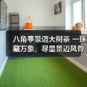 八角亭景迈大树茶 一珠藏万象，尽显景迈风骨（图1）