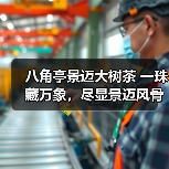 八角亭景迈大树茶 一珠藏万象，尽显景迈风骨（图3）
