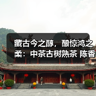 藏古今之醇，酿惊鸿之柔：中茶古树熟茶 陈香·溪甜 普洱茶(熟)（图3）
