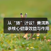 从“肠”计议！普洱熟茶核心健康效益与作用机制获科学揭示（图2）
