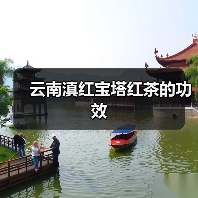 云南滇红宝塔红茶的功效(图2) 云南滇红宝塔红茶的功效(图2)