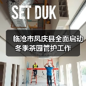 临沧市凤庆县全面启动冬季茶园管护工作(图2) 临沧市凤庆县全面启动冬季茶园管护工作(图2)