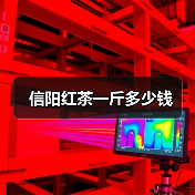 信阳红茶一斤多少钱（图4）