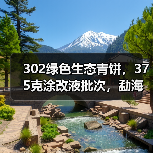 302绿色生态青饼,375克涂改液批次,勐海茶厂中期茶经典(图1) 302绿色生态青饼,375克涂改液批次,勐海茶厂中期茶经典(图1)