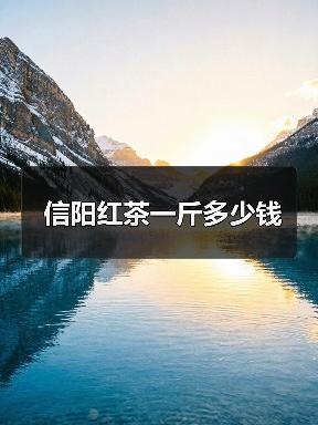 信阳红茶一斤多少钱（图3）
