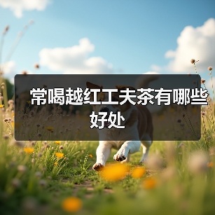 常喝越红工夫茶有哪些好处(图4) 常喝越红工夫茶有哪些好处(图4)
