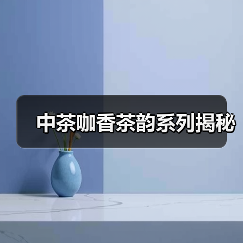 中茶咖香茶韵系列揭秘（图3）