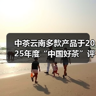中茶云南多款产品于2025年度“中国好茶”评比中斩获佳绩(图2) 中茶云南多款产品于2025年度“中国好茶”评比中斩获佳绩(图2)