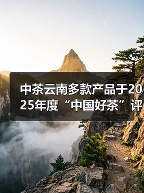 中茶云南多款产品于2025年度“中国好茶”评比中斩获佳绩(图4) 中茶云南多款产品于2025年度“中国好茶”评比中斩获佳绩(图4)