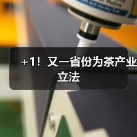 +1！又一省份为茶产业立法（图4）