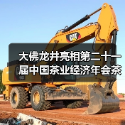 大佛龙井亮相第二十一届中国茶业经济年会茶产业高质量发展交流会(图3) 大佛龙井亮相第二十一届中国茶业经济年会茶产业高质量发展交流会(图3)