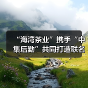 “海湾茶业”携手“中集后勤”共同打造联名茶礼金瓜贡茶·福瓜（图4）