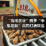 “海湾茶业”携手“中集后勤”共同打造联名茶礼金瓜贡茶·福瓜（图3）