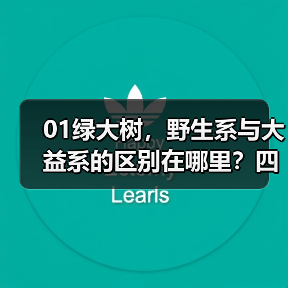 01绿大树，野生系与大益系的区别在哪里？四款茶详细解析（图3）